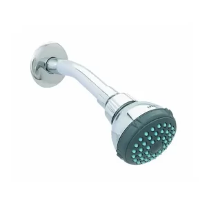 REGADERA DE HIERRO DICA 4506BV CON BRAZO Y CHAPETON CROMO